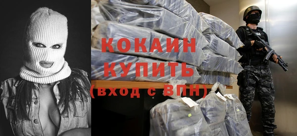 дживик Арсеньев
