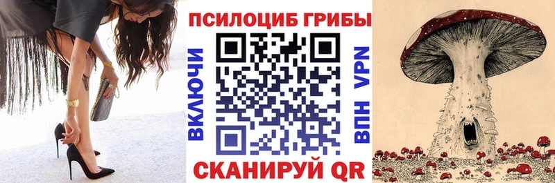 Псилоцибиновые грибы Psilocybine cubensis  Белозерск 