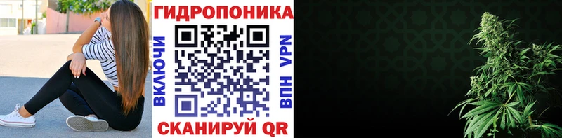 Бошки марихуана ГИДРОПОН где продают Белозерск